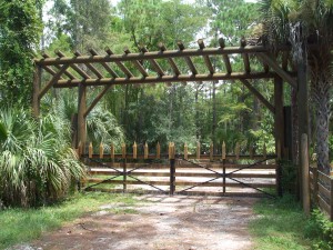 Custom Steel Gate